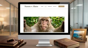 Mockup de pantalla de iMac mostrando un artículo de blog legal sobre el caso de copyright Naruto v. Slater (selfie del mono), con un escritorio de oficina profesional en Canarias en el fondo.